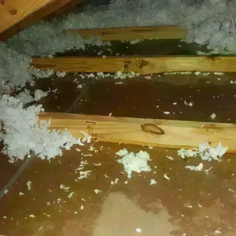 Attic Water Damage in Feather Sound, FL