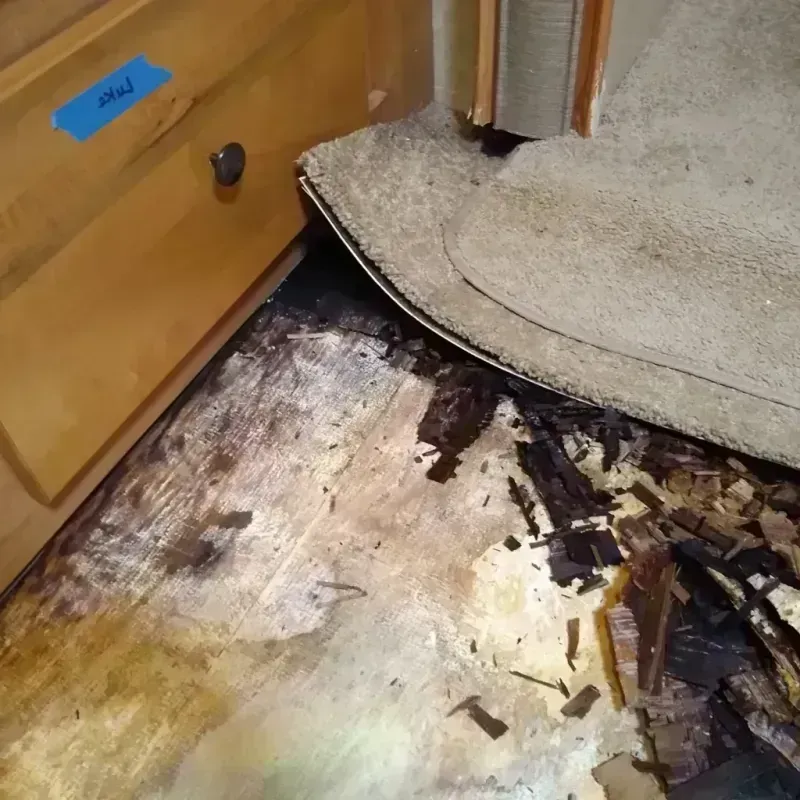 Best Wood Floor Water Damage Service in Feather Sound, FL